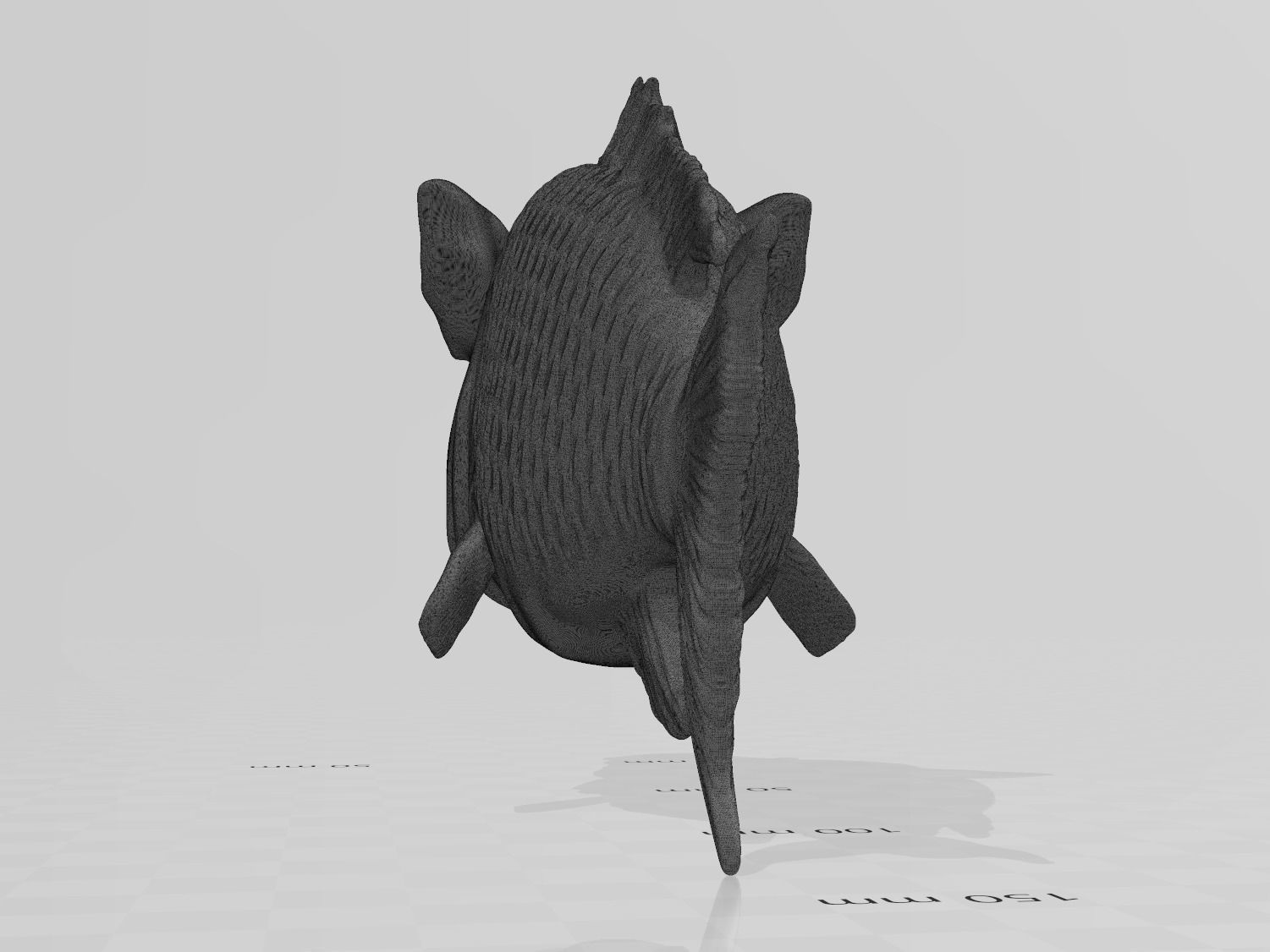 Hogfish Ocean Bacon 3D print model_13