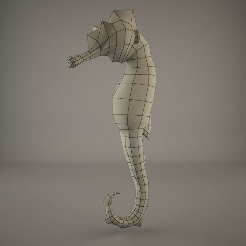 Sea Horse 3D model_12