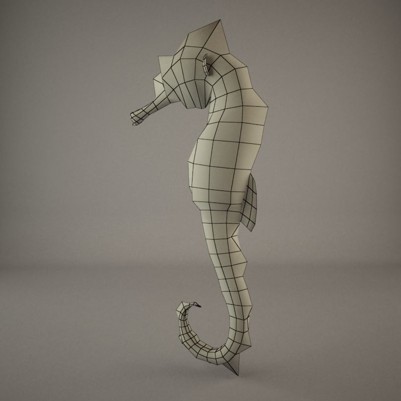 Sea Horse 3D model_11
