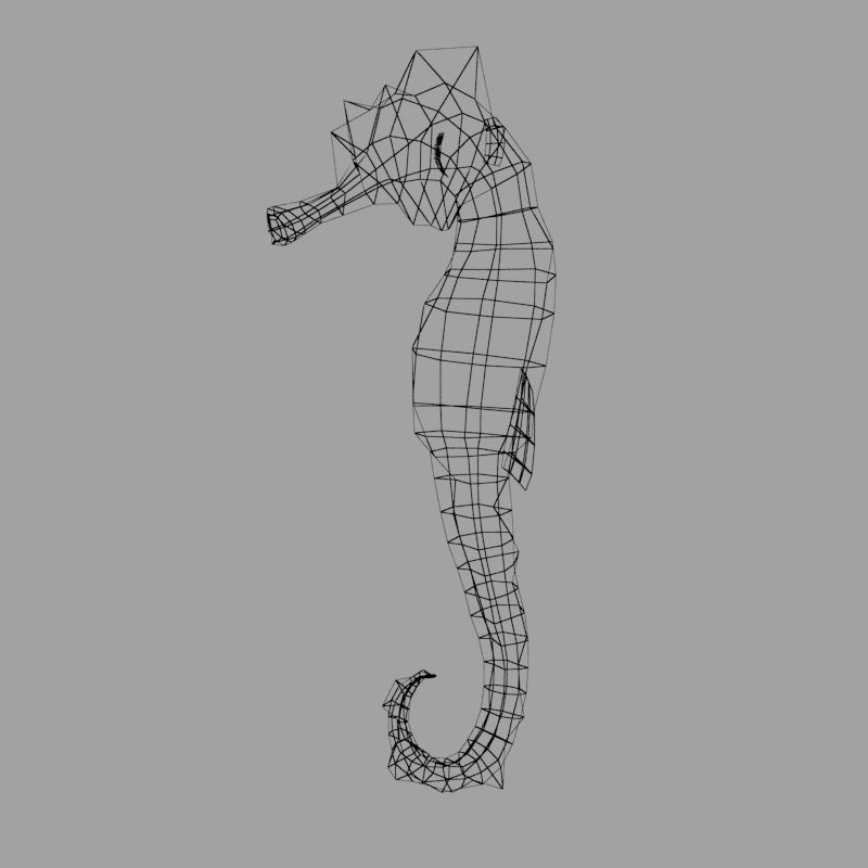 Sea Horse 3D model_10