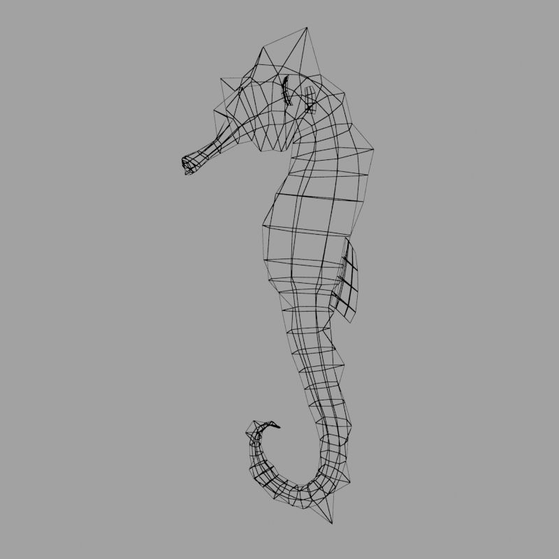 Sea Horse 3D model_9
