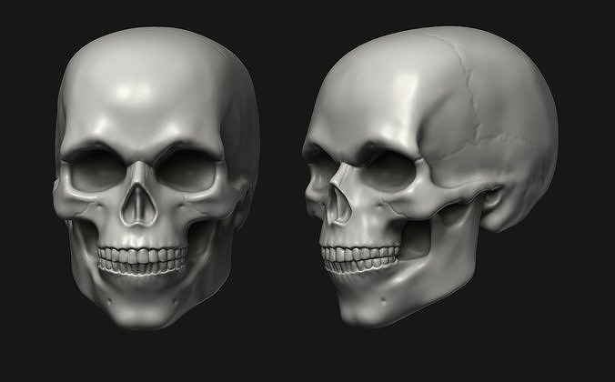 Simply skull 3D print model