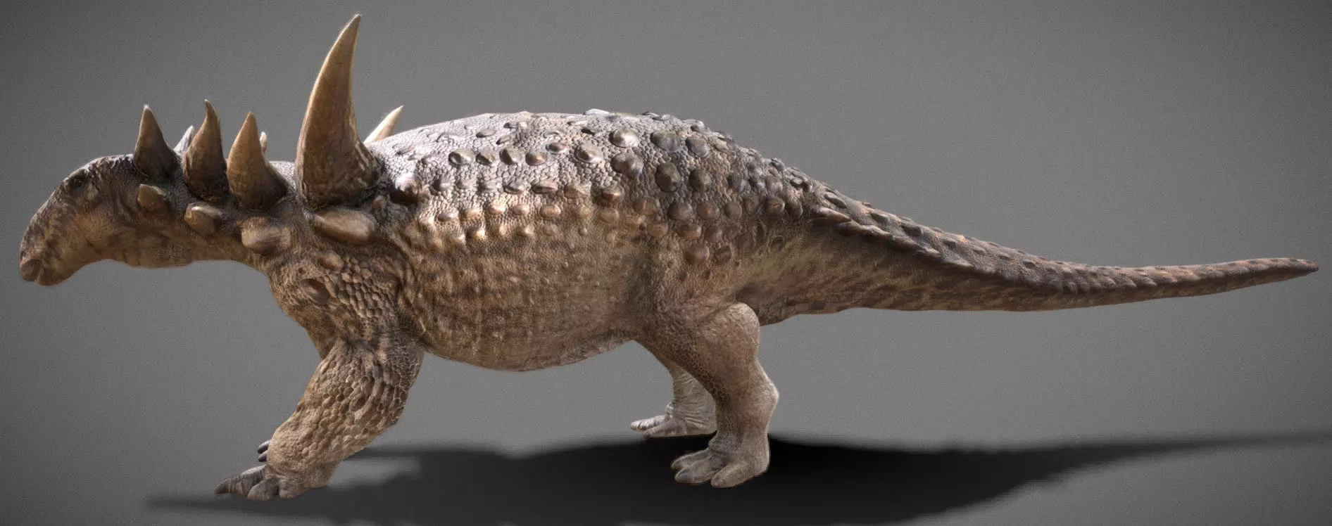 Sauropelta dinosaur Low-poly 3D model_5