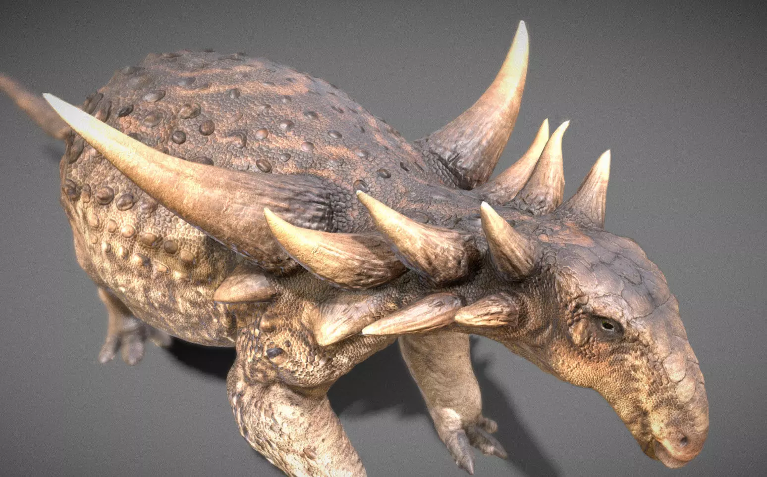 Sauropelta dinosaur Low-poly 3D model_7