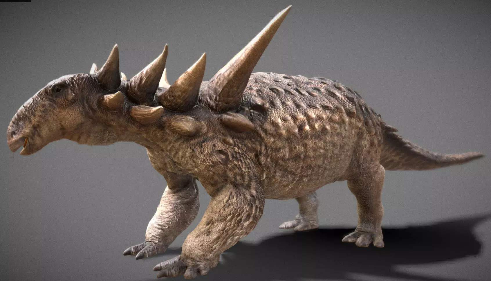 Sauropelta dinosaur Low-poly 3D model_3