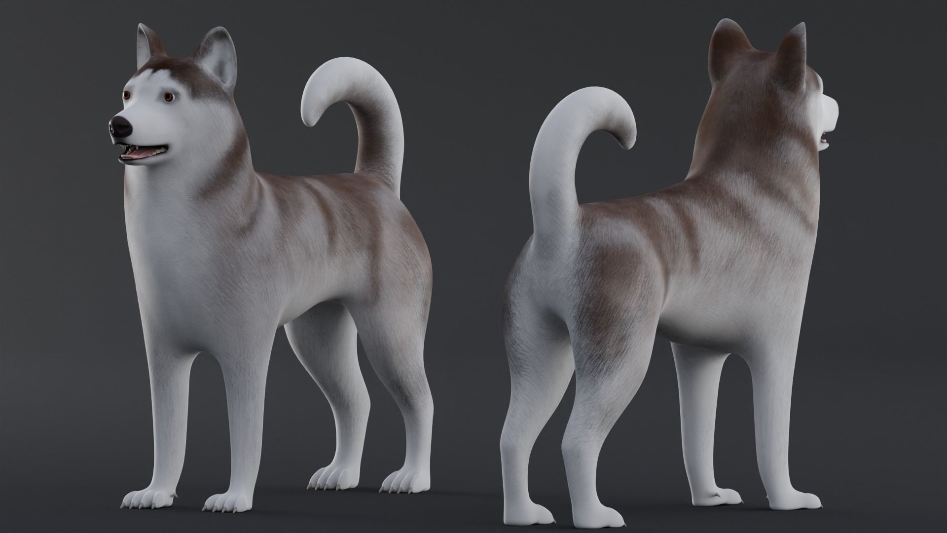 Dog Alaskan Malmute Low Poly Model Game AR VR Low-poly 3D model_4