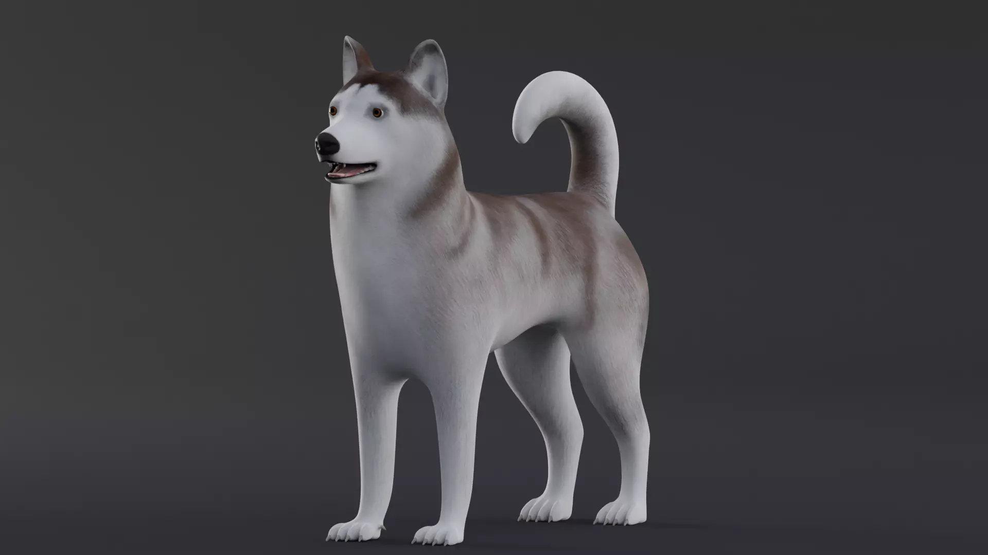 Dog Alaskan Malmute Low Poly Model Game AR VR Low-poly 3D model_0