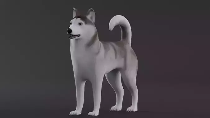 Dog Alaskan Malmute Low Poly Model Game AR VR