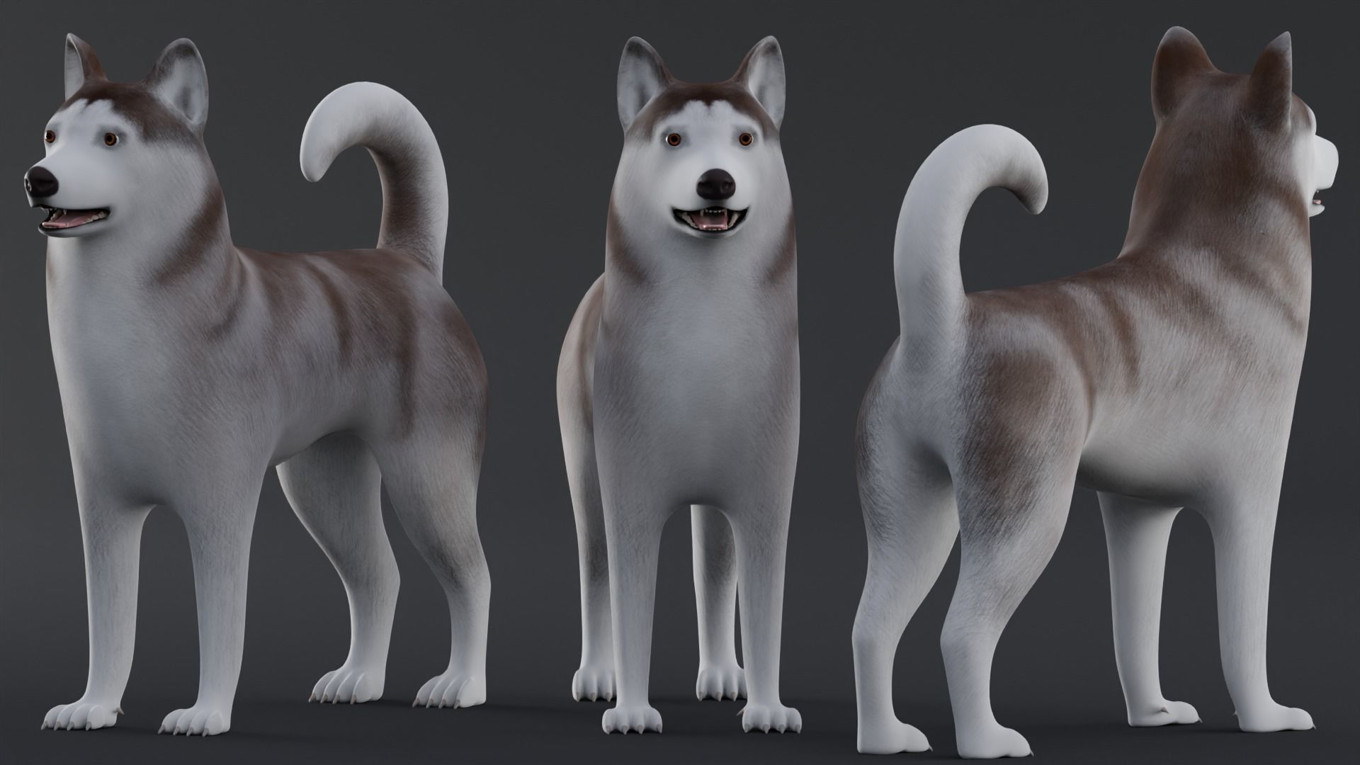 Dog Alaskan Malmute Low Poly Model Game AR VR Low-poly 3D model_5