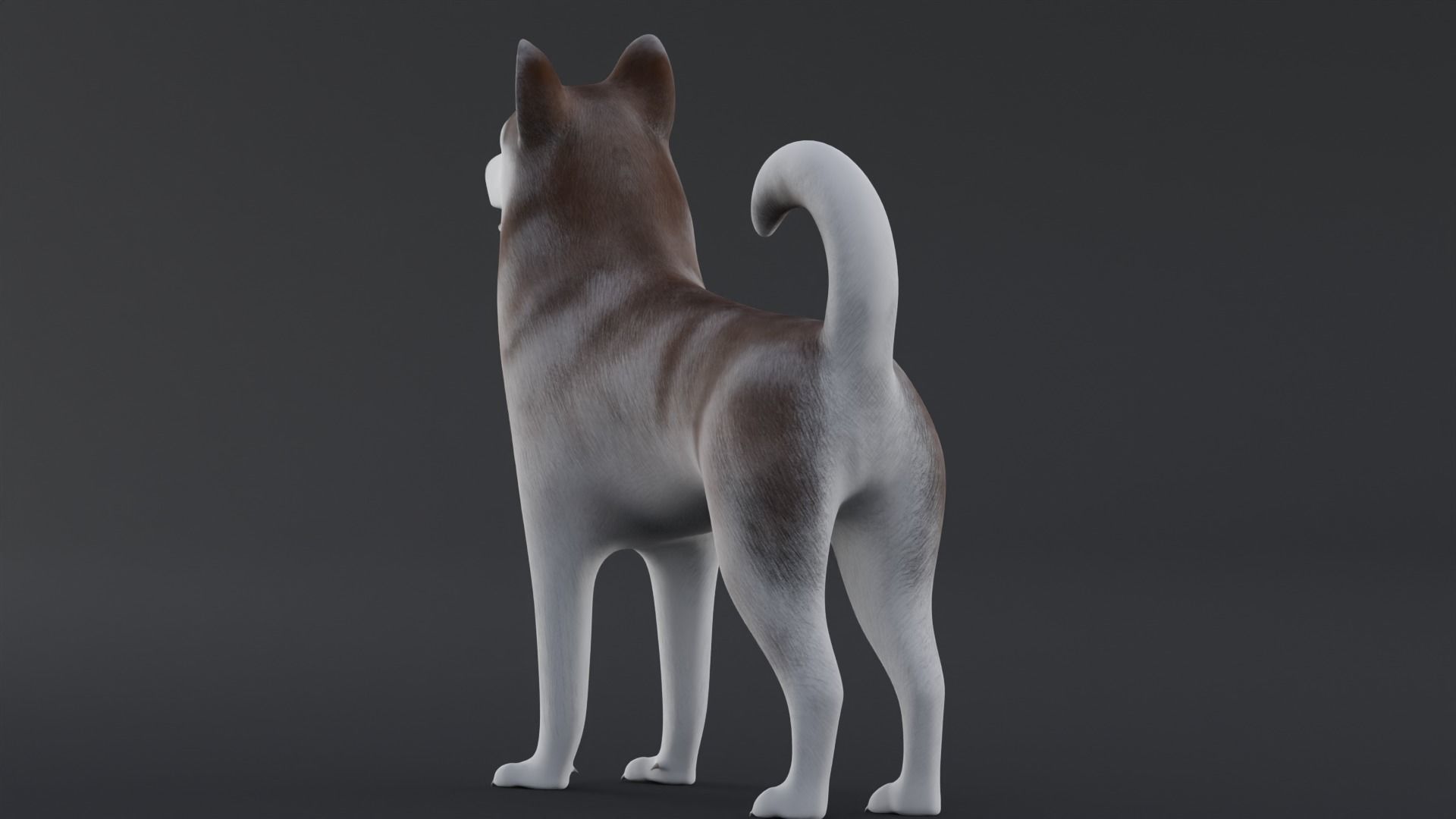 Dog Alaskan Malmute Low Poly Model Game AR VR Low-poly 3D model_3