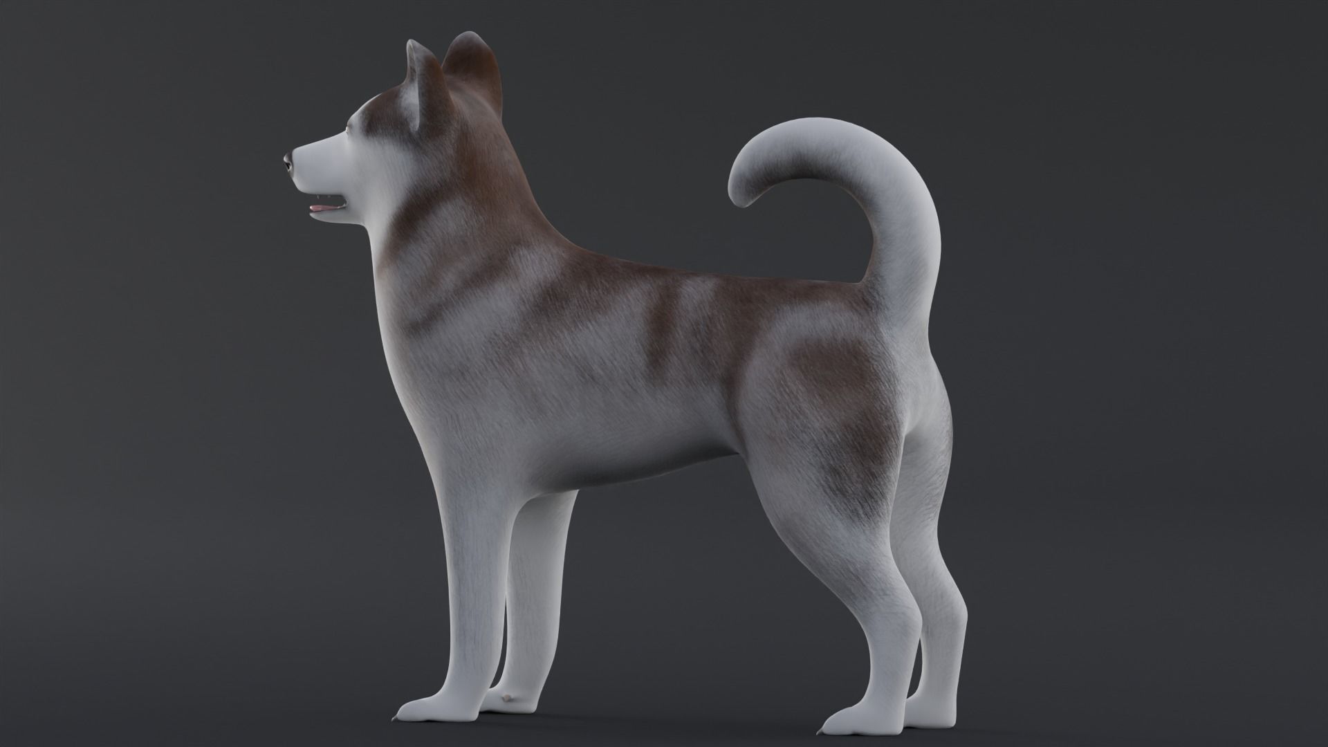 Dog Alaskan Malmute Low Poly Model Game AR VR Low-poly 3D model_1