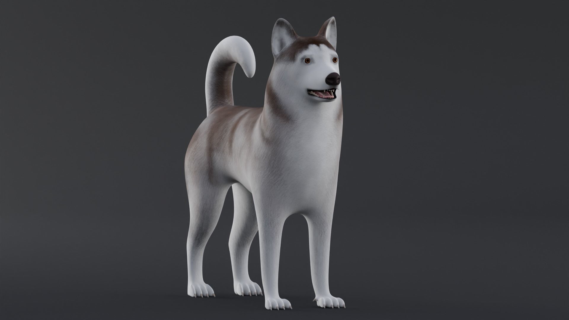 Dog Alaskan Malmute Low Poly Model Game AR VR Low-poly 3D model_2