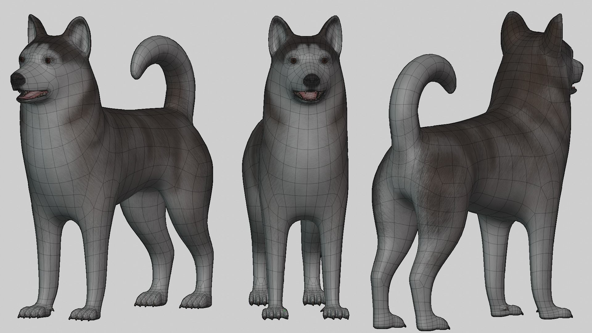 Dog Alaskan Malmute Low Poly Model Game AR VR Low-poly 3D model_7