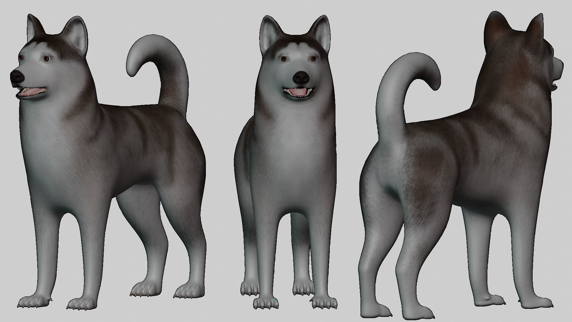 Dog Alaskan Malmute Low Poly Model Game AR VR Low-poly 3D model_6