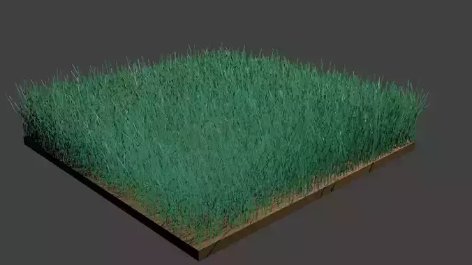Grass