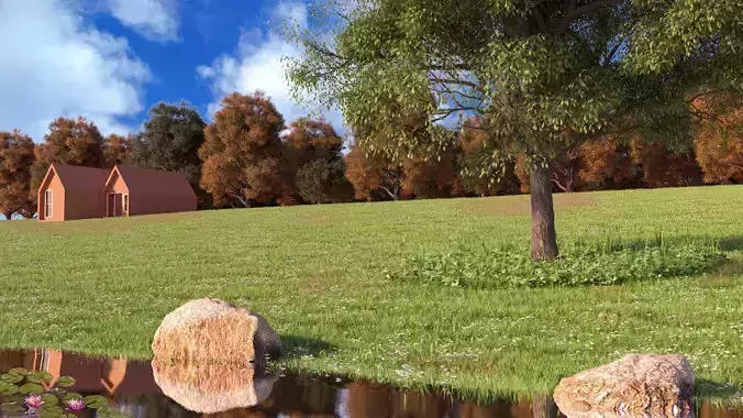 exterior 1 house in field with pond