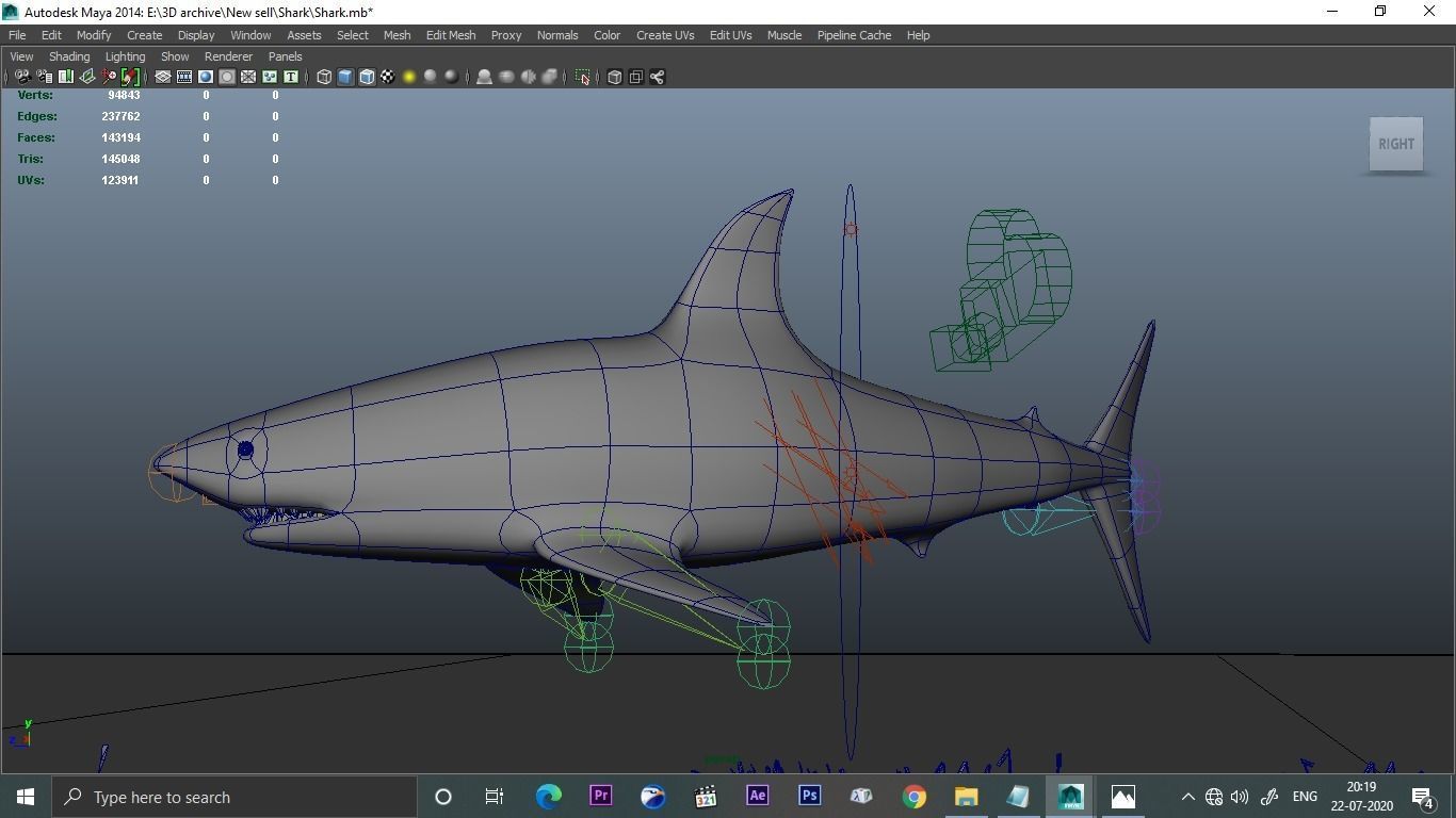 Low poly Shark 3D great swimming in ocean 3D model_2