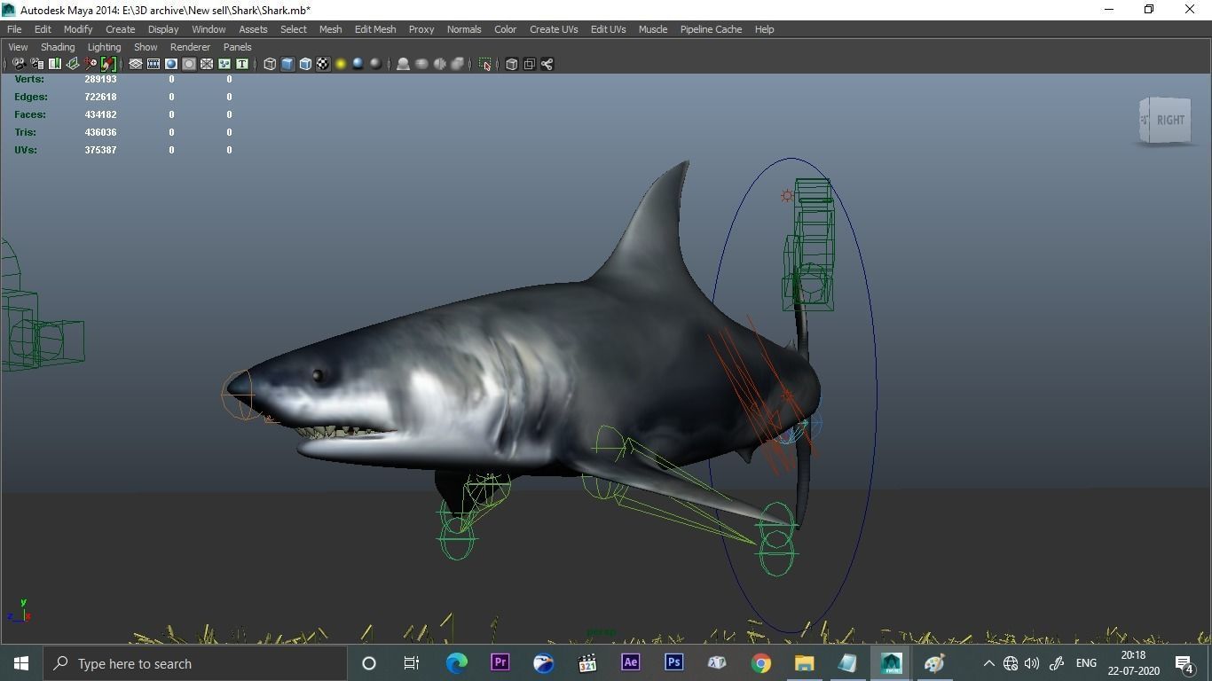 Low poly Shark 3D great swimming in ocean 3D model_1