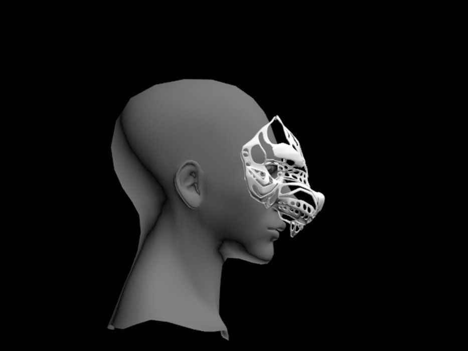Tiger Face 3D print model_1