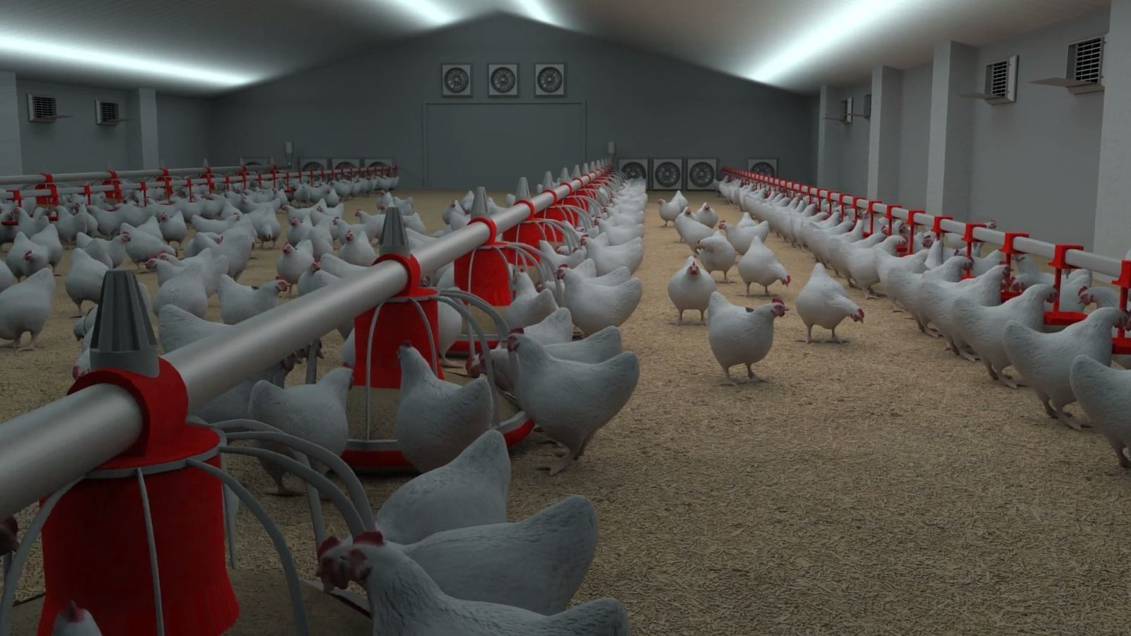 Poultry farm with rigged and animated chickens 3D model_4