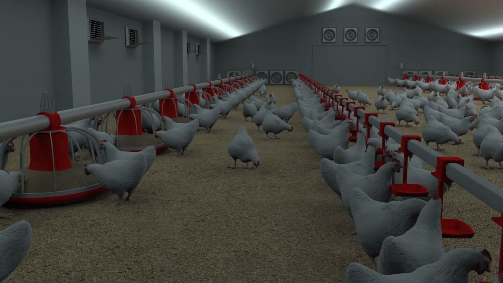 Poultry farm with rigged and animated chickens 3D model_3
