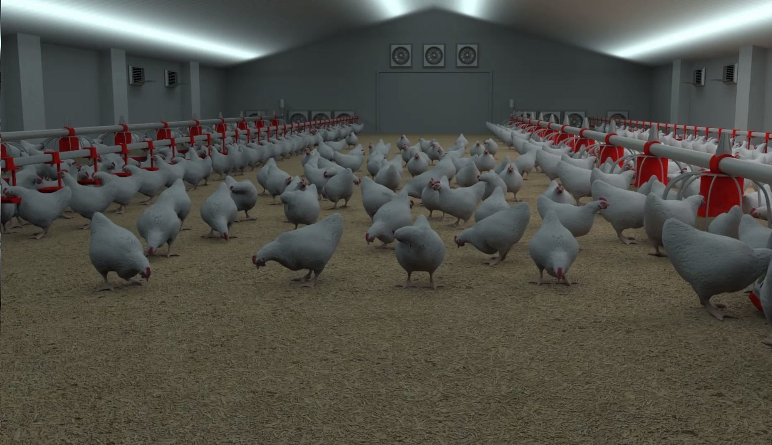 Poultry farm with rigged and animated chickens 3D model_2