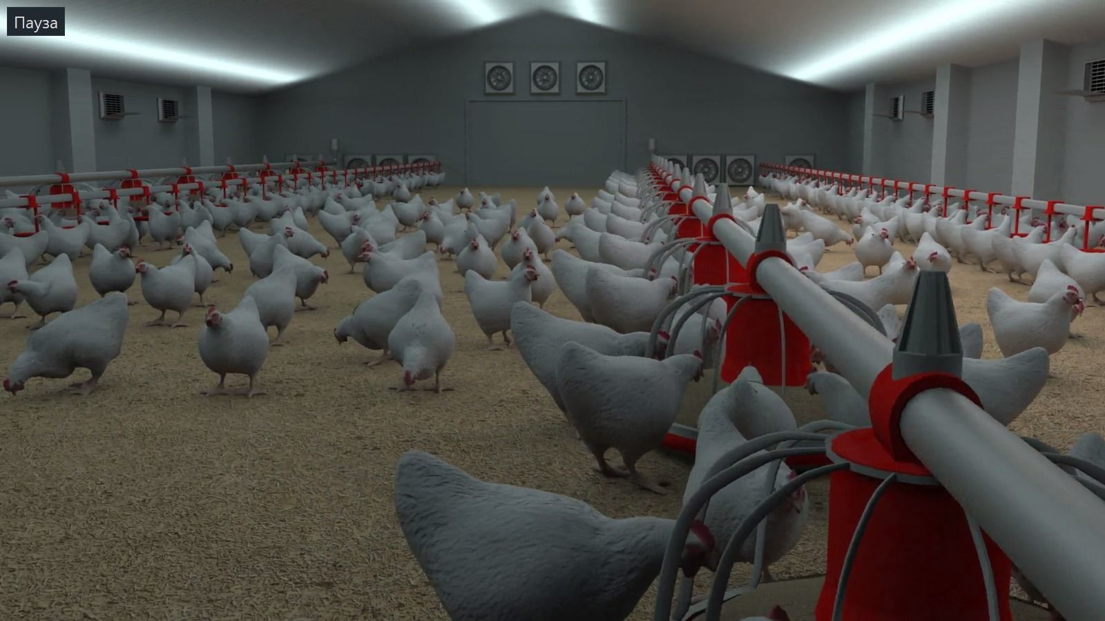 Poultry farm with rigged and animated chickens 3D model_5