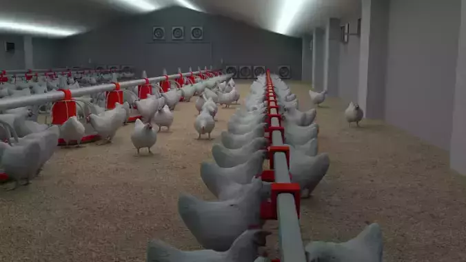 Poultry farm with rigged and animated chickens 3D model