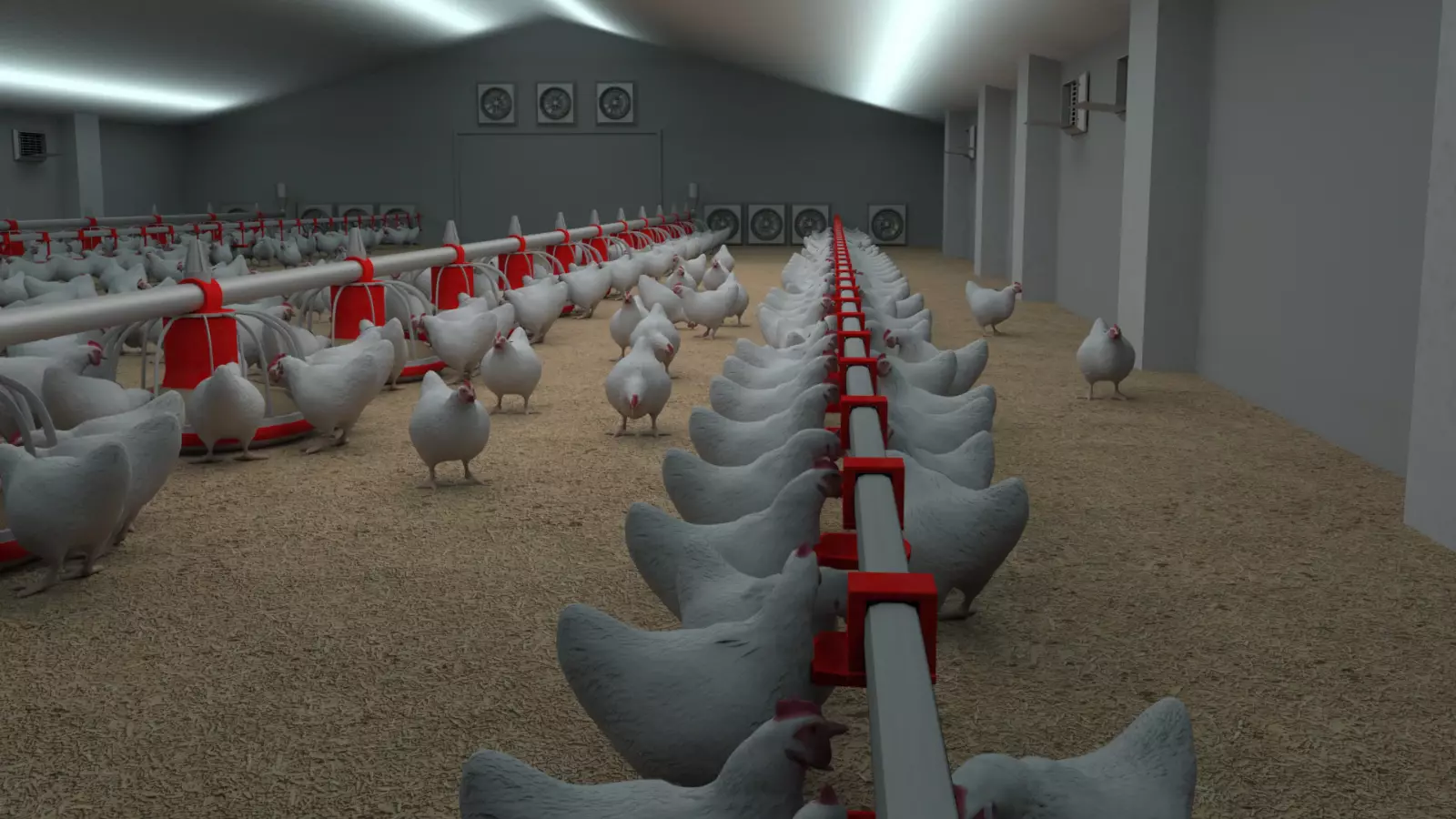 Poultry farm with rigged and animated chickens 3D model_0