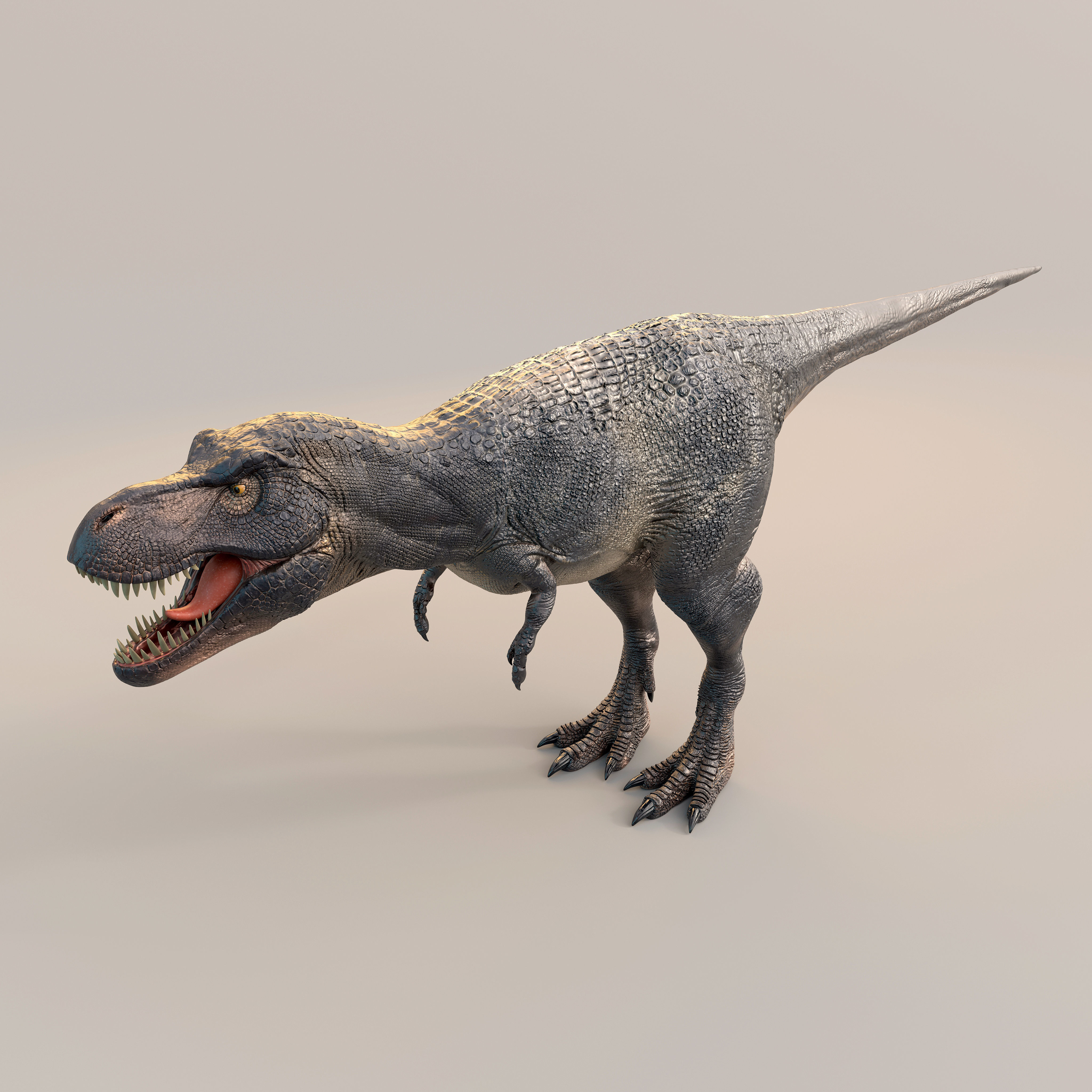 T-Rex 3D model t - rex dinosaur Low-poly 3D model_2