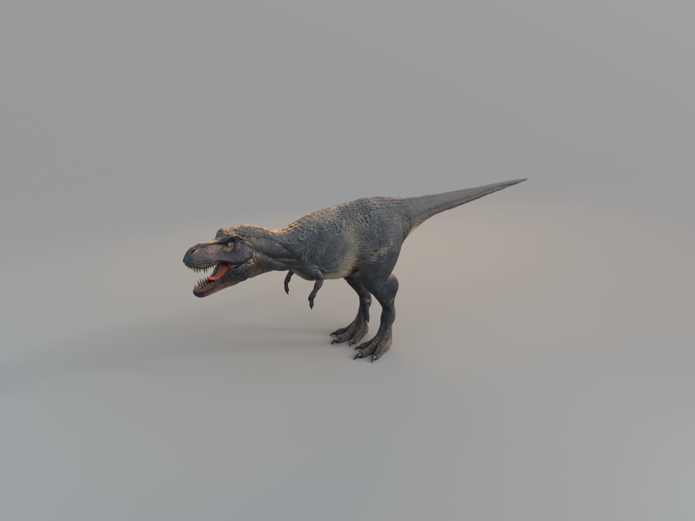 T-Rex 3D model t - rex dinosaur Low-poly 3D model_3