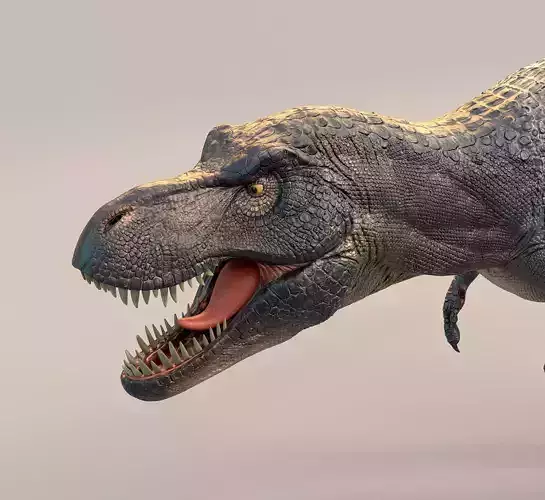T-Rex 3D model t - rex dinosaur Low-poly 3D model