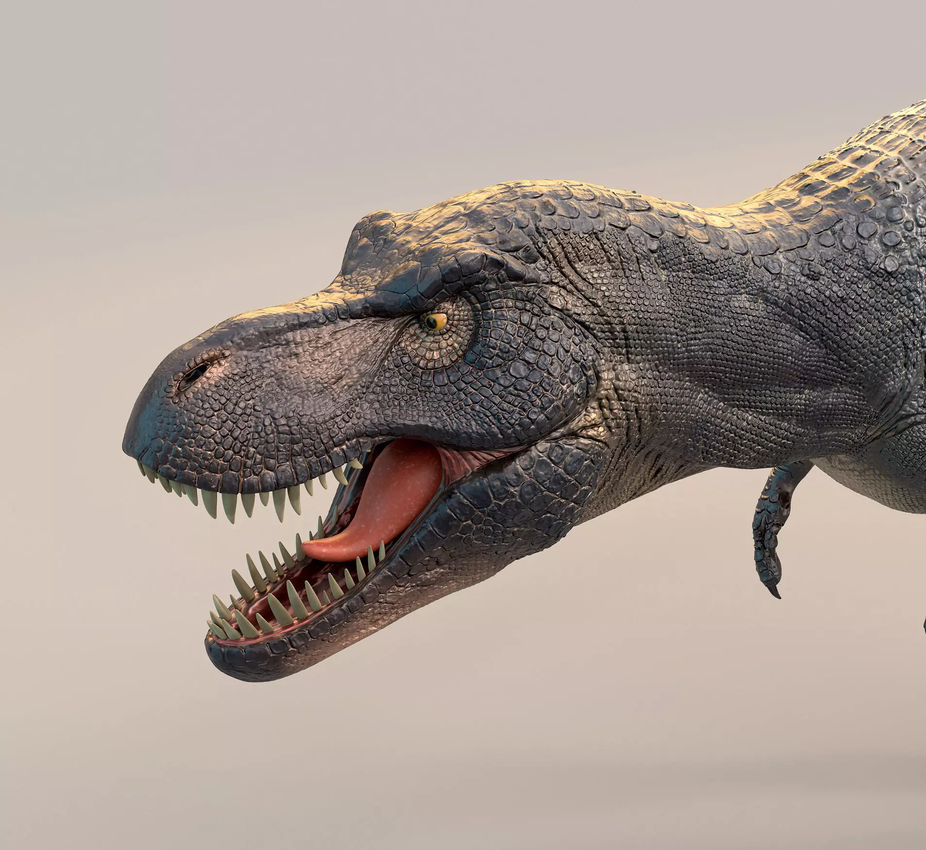 T-Rex 3D model t - rex dinosaur Low-poly 3D model_0