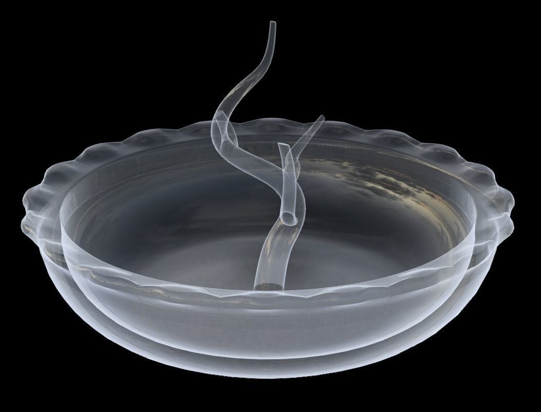 Jewelry Holder for rings 3D print model_6