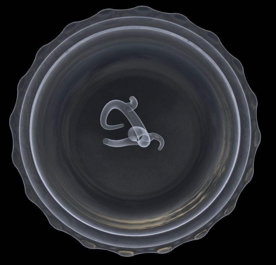 Jewelry Holder for rings 3D print model_9