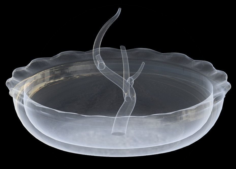 Jewelry Holder for rings 3D print model_11