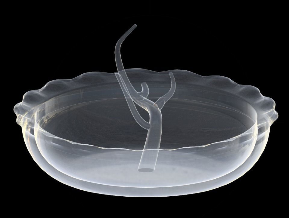 Jewelry Holder for rings 3D print model_10