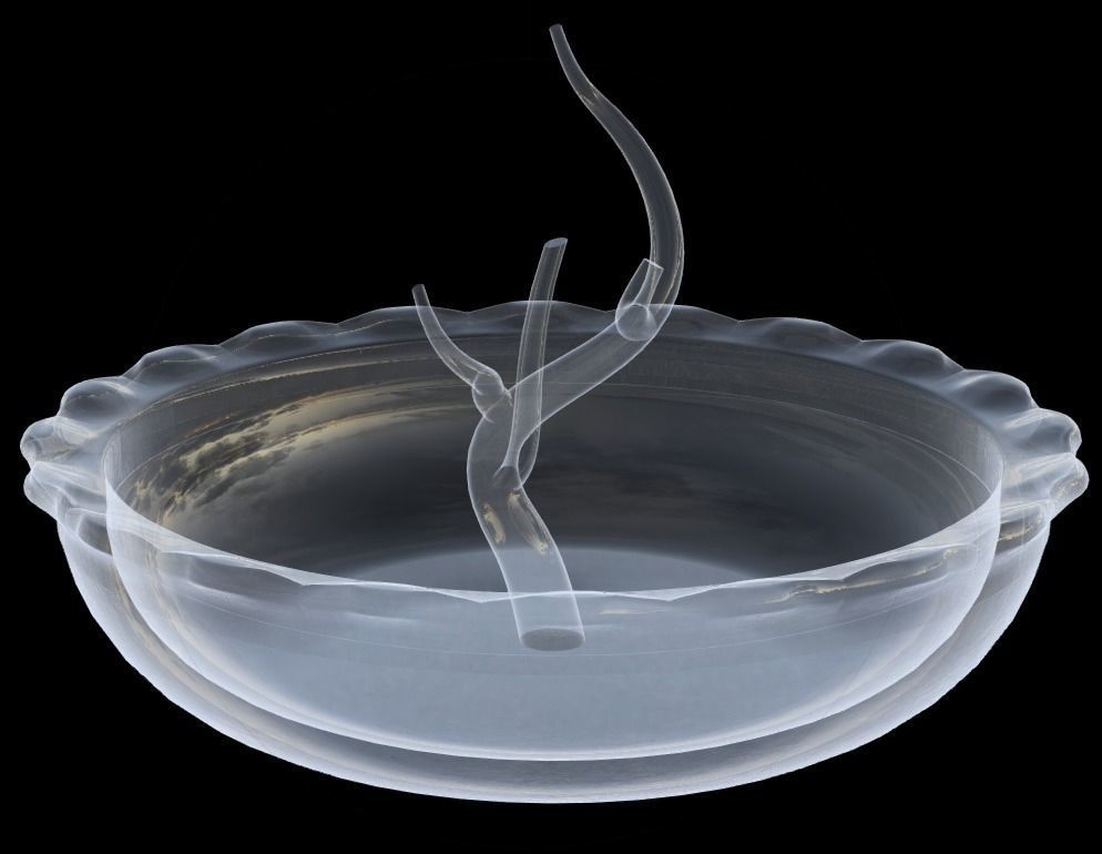 Jewelry Holder for rings 3D print model_8