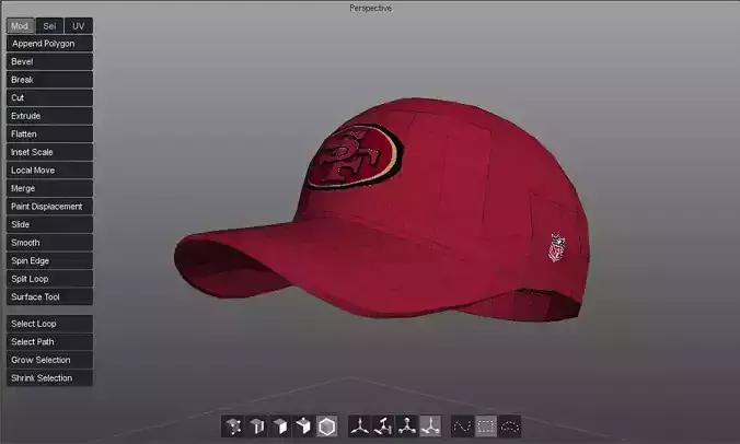 49 ers ball cap