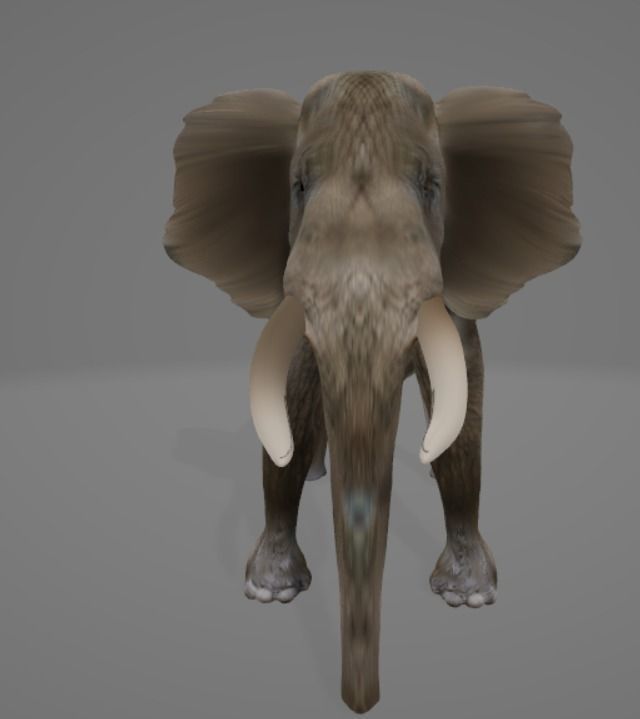 Elephant with long tusks 3D model_4