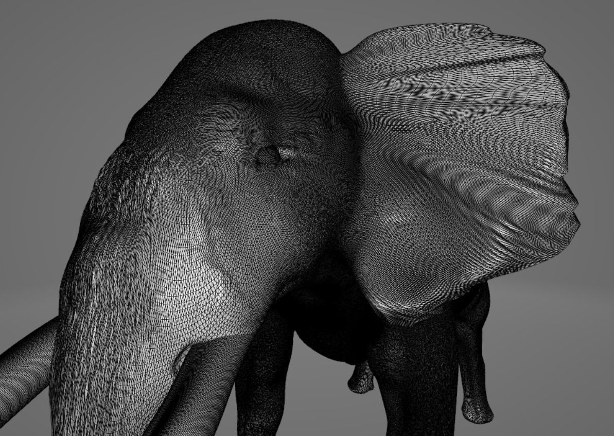 Elephant with long tusks 3D model_7