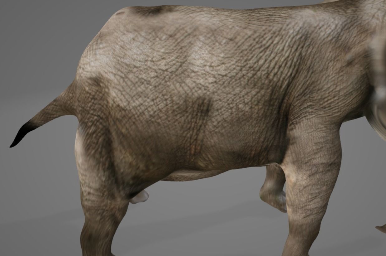 Elephant with long tusks 3D model_3