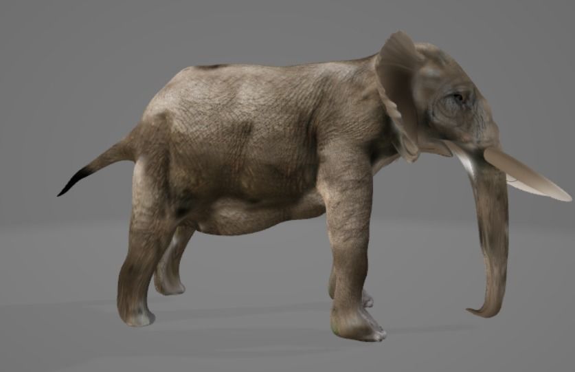 Elephant with long tusks 3D model_2