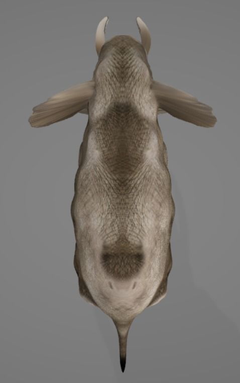 Elephant with long tusks 3D model_5