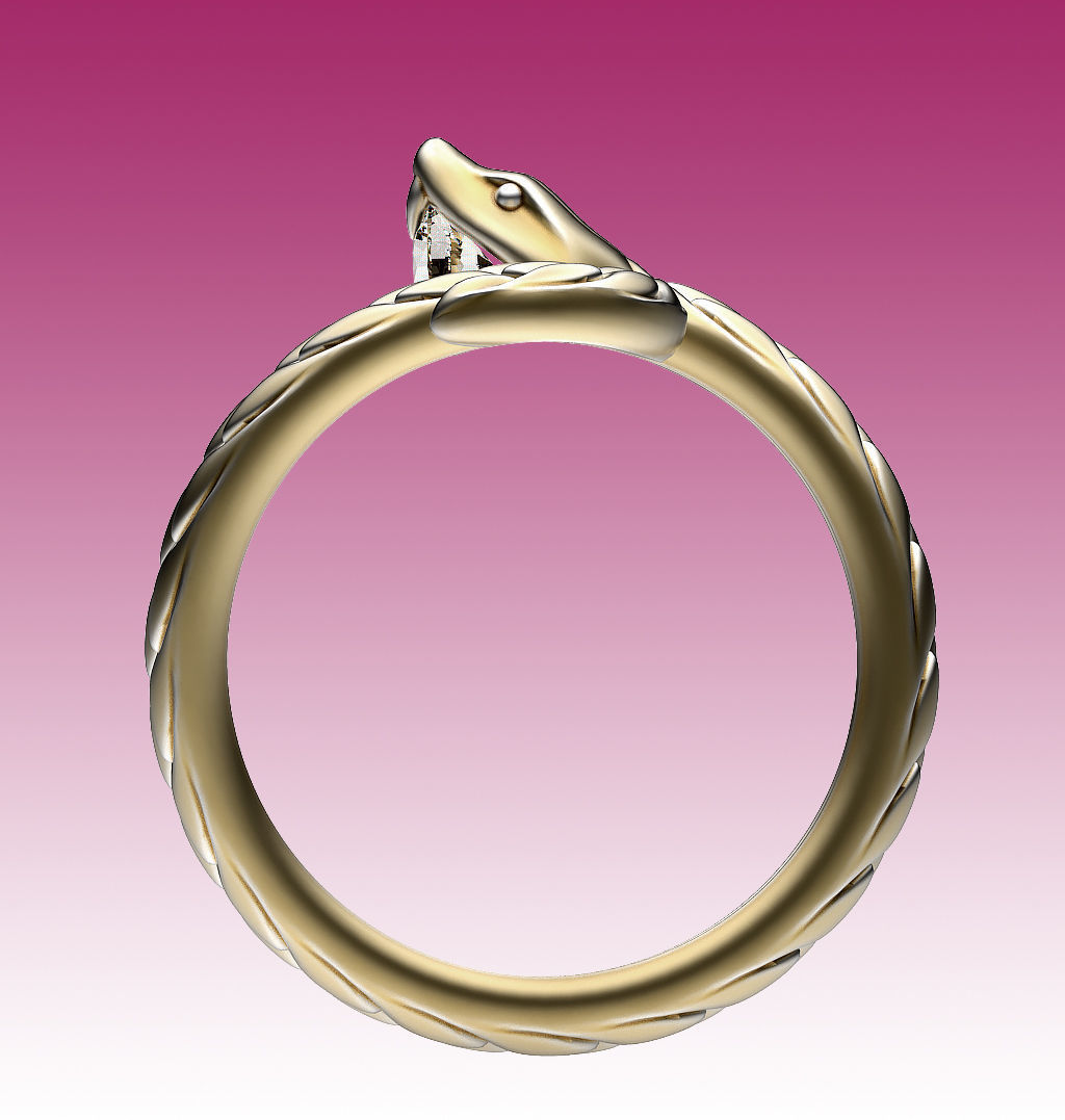 Ring Snake 3D print model_5