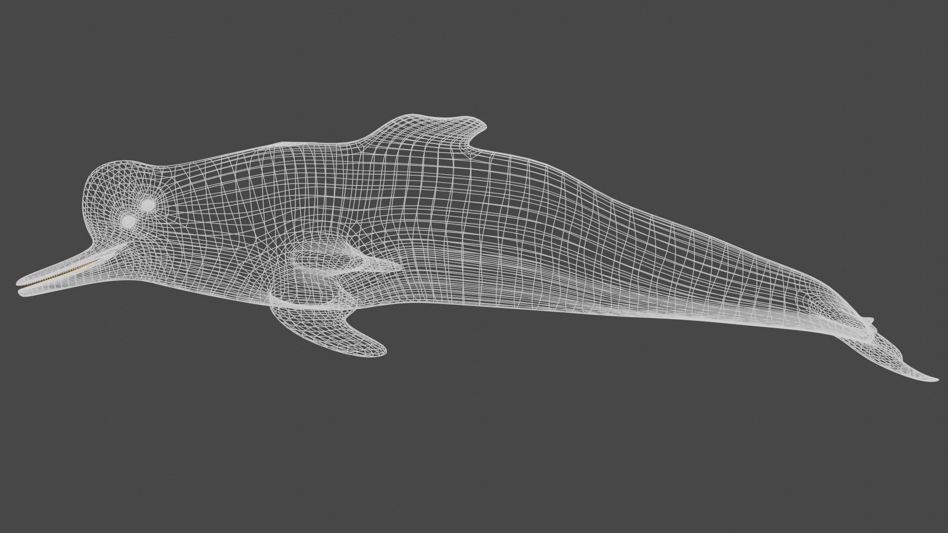 Pink River Dolphin BOTO Low-poly 3D model_2