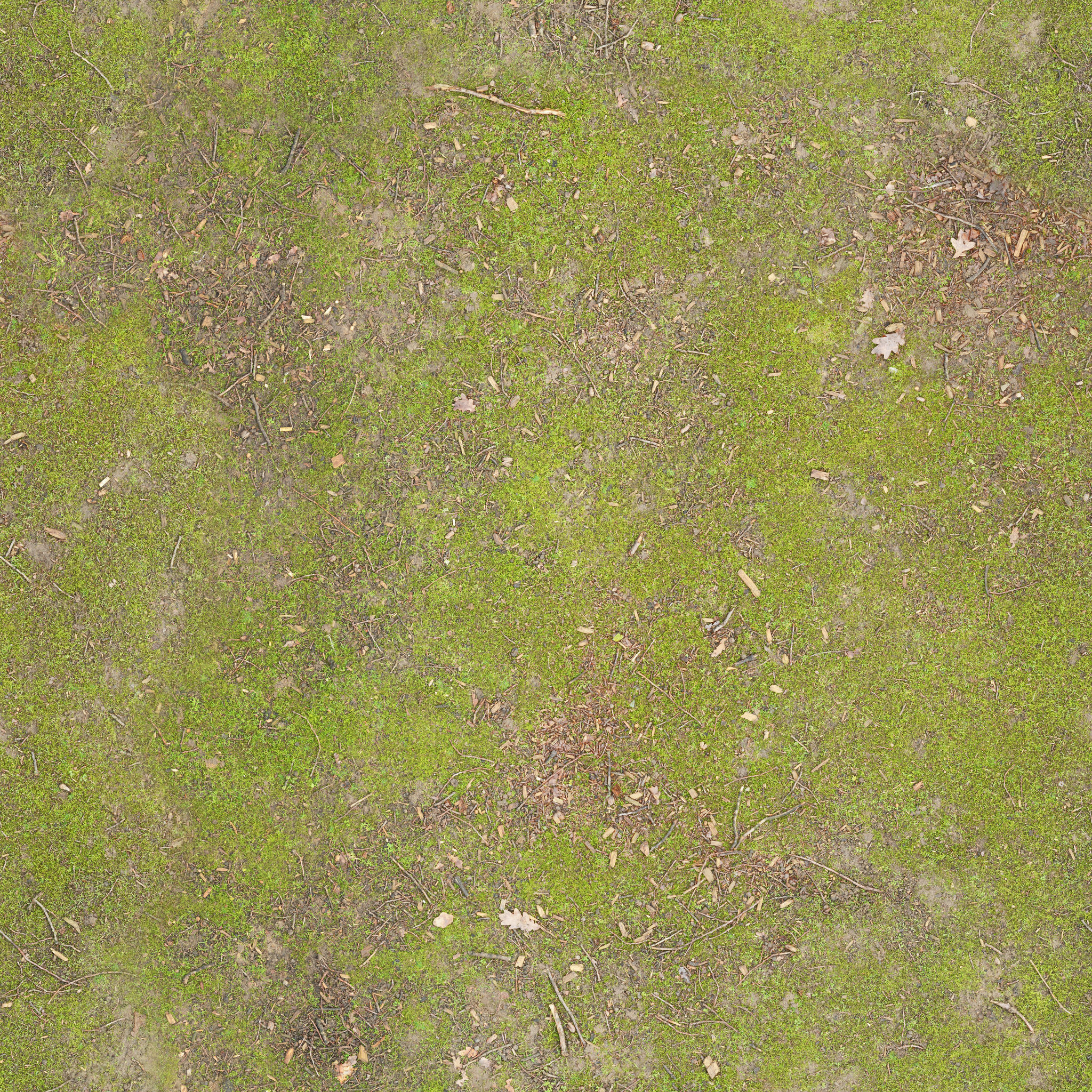 Realistic grass Free 3D model_8