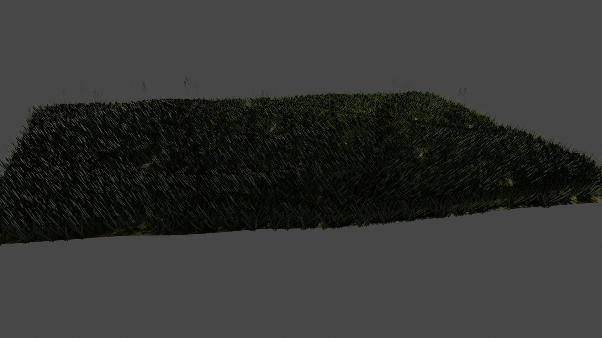 Realistic grass Free 3D model_4