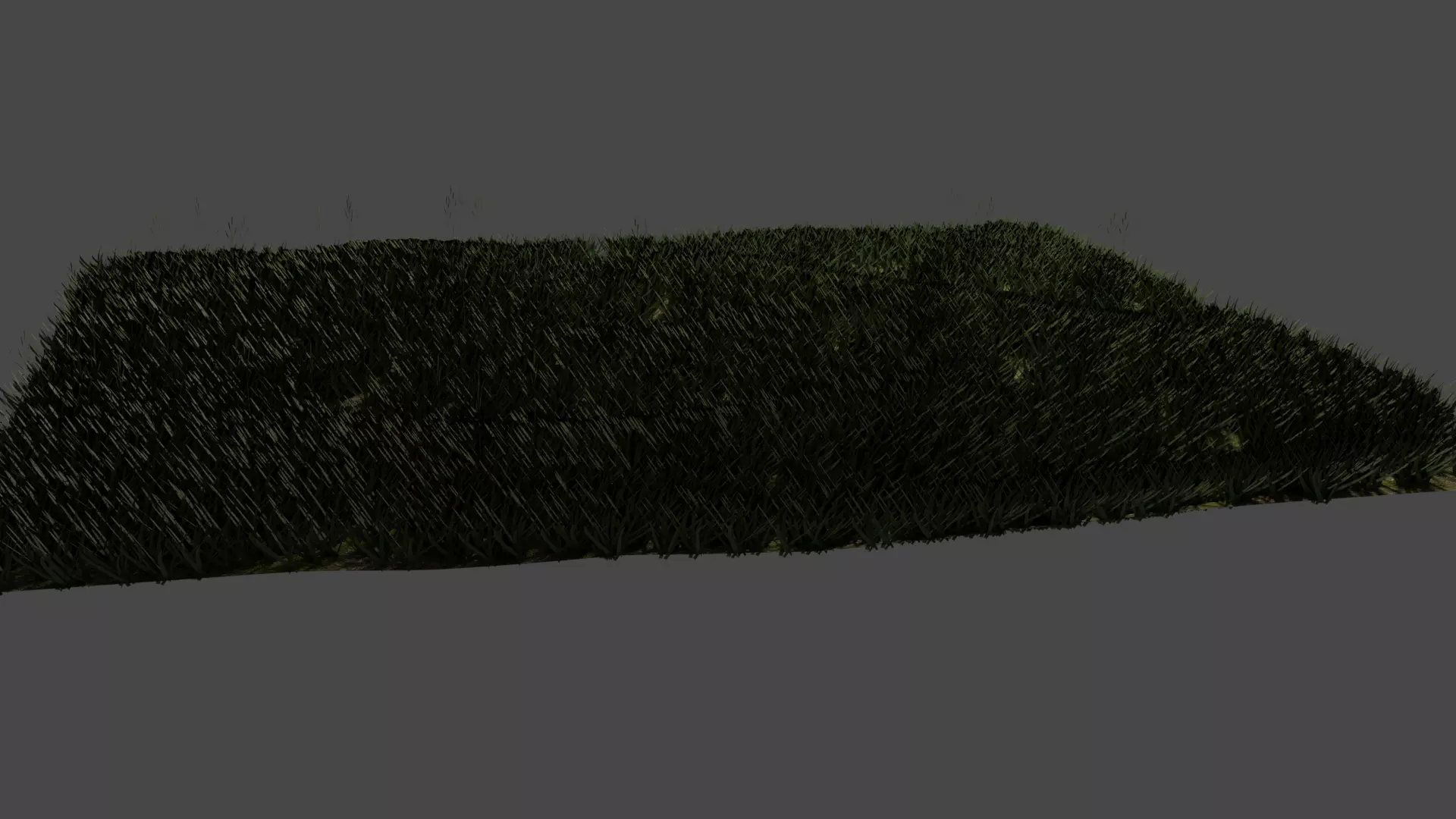 Realistic grass Free 3D model_0