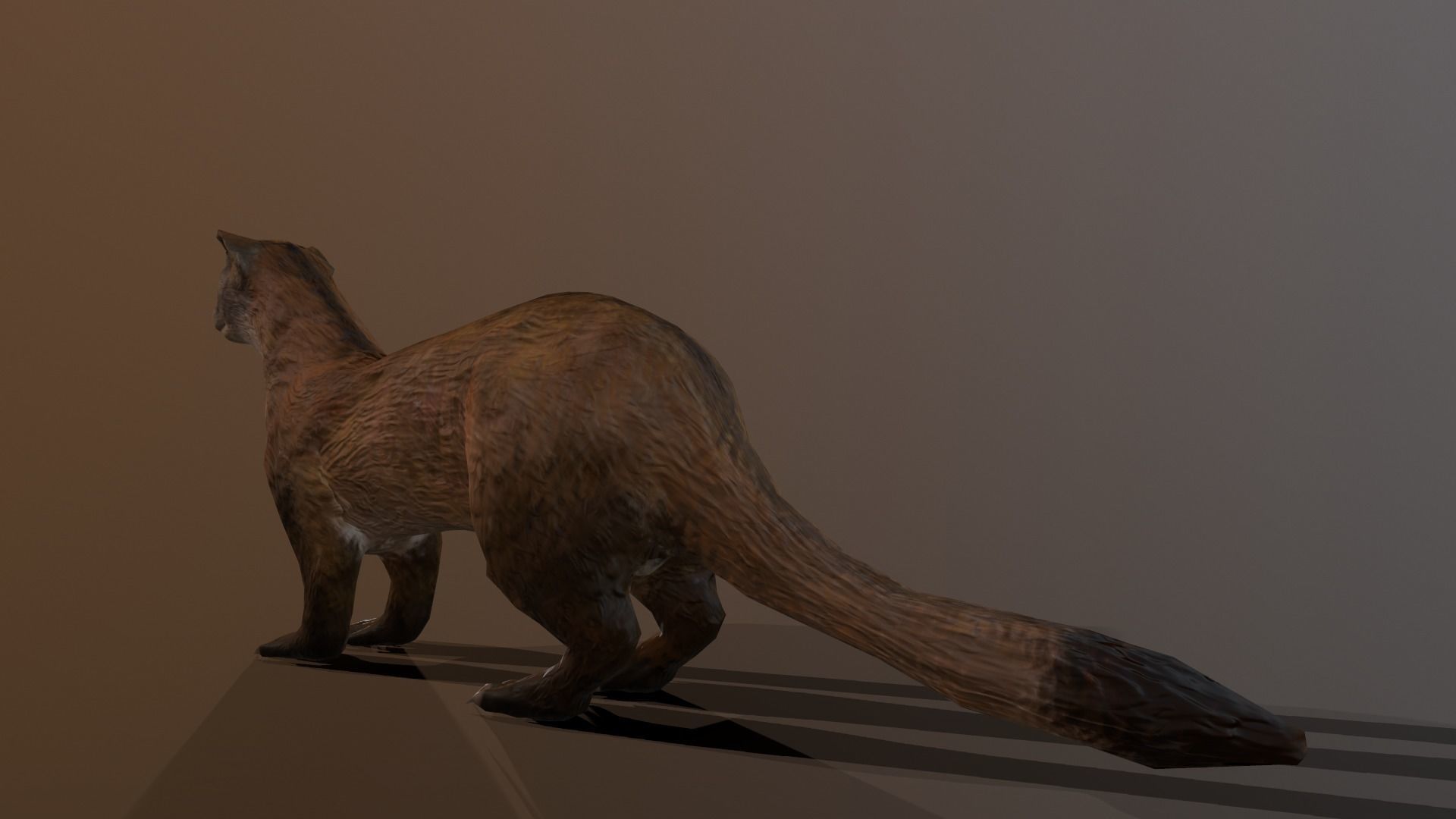 Black-footed ferret Low-poly 3D model_2